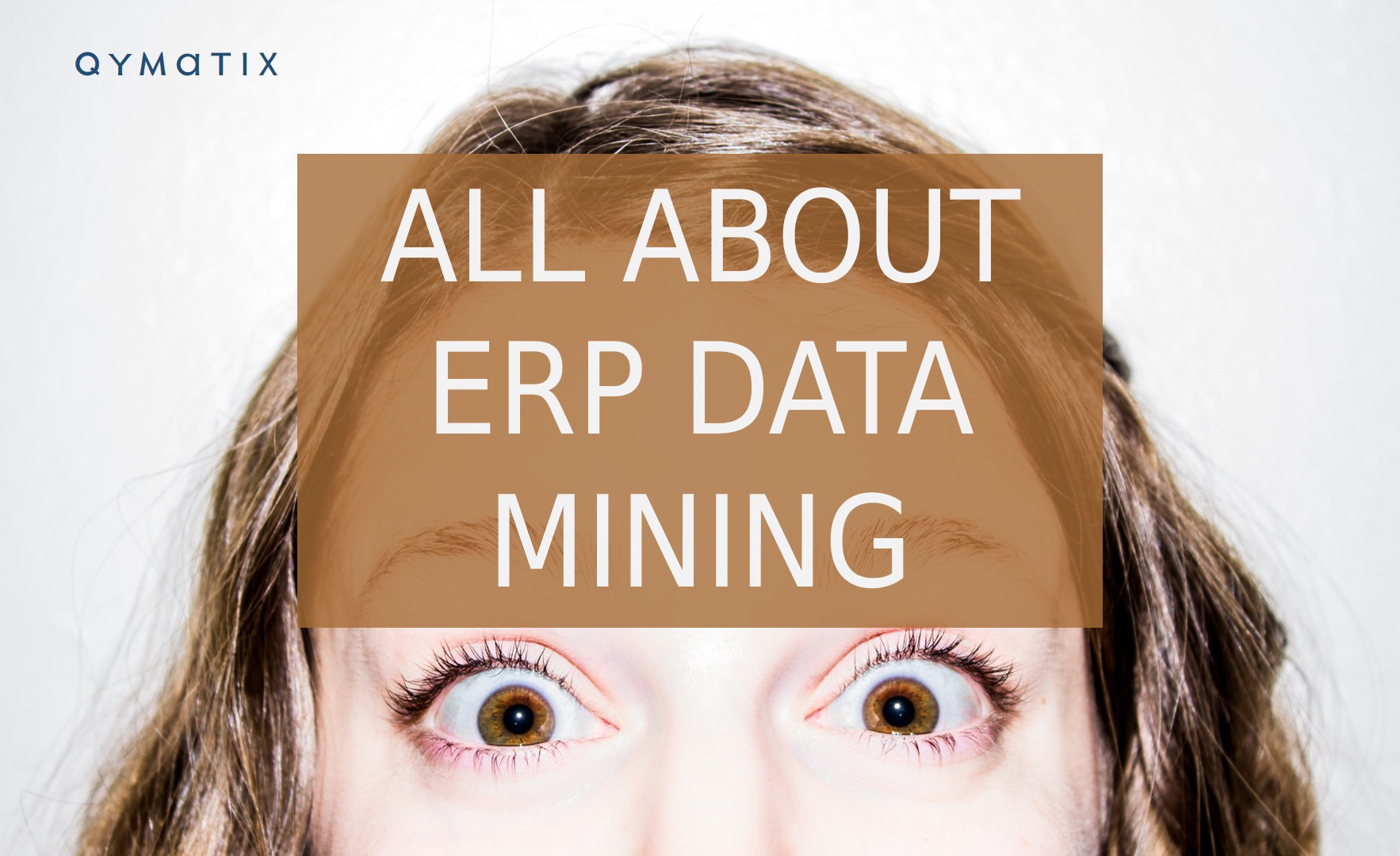 All About ERP Data Mining for Sales